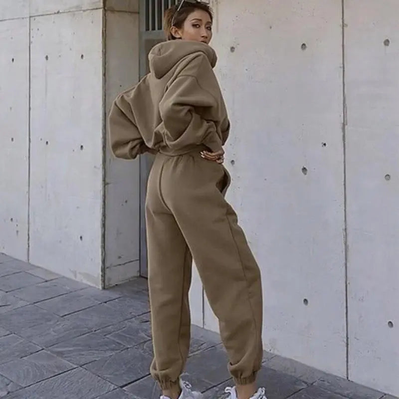 Wholesale Autumn Winter Women Fashion Solid Color Thickened Long-Sleeved Hooded Jogger Pants Two-Piece Set
